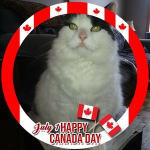 Meet your Posher, Sherry